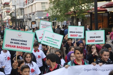 Samsun'da Organ Bağışçı Sayısı 15 Bine Ulaştı