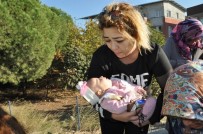 Vincin Arkadan Çarptığı Dolmuşta Can Pazarı Açıklaması 16 Yaralı