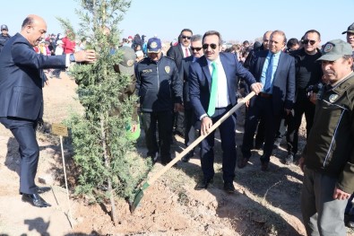 Aksaray'da 5 Bin 500 Fidan Toprakla Buluşturuldu