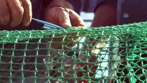 BATı KARADENIZ - Balıkçılar Hamsi Avına Hazırlanıyor