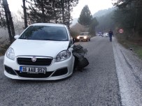 KOZCAĞıZ - Domaniç'te Trafik Kazası Açıklaması 2 Yaralı