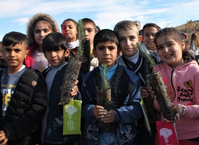 Elazığ'da,Öğrenciler 2 Bin 600 Fidan Dikti