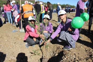 'Fidanlar, Fidanlarla Büyüyor' Projesi Kapsamında 400 Fidan Toprakla Buluştu