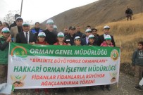 ORMAN İŞLETME MÜDÜRÜ - Hakkari'de 'Fidanlar Fidanlarla Büyüyor' Projesi