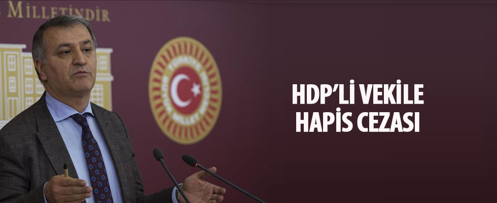 HDP'li Mahmut Toğrul'a hapis cezası
