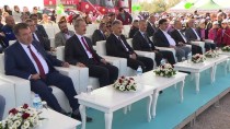 İZMİR MİLLİ EĞİTİM MÜDÜRÜ - İzmir'de 461 Bin Fidan Dikilecek