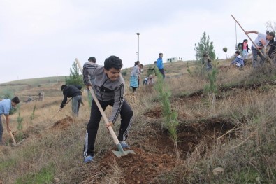 Öğrenciler Fidanları Toprakla Buluşturdu