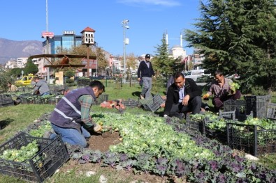 Safranbolu'da Park Ve Bahçeler Renkleniyor