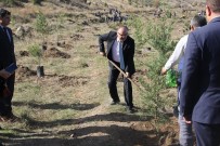 NURULLAH KAYA - Şuhut'ta 500 Fidan Toprakla Buluştu