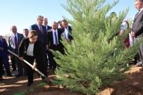 FUNDA KOCABIYIK - Uşak'ta 'Fidanlar Fidanlarla Büyüyor' Projesi İle 2 Bin 500 Fidan Dikildi
