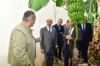 MAHMUT DEMIRTAŞ - Vali Demirtaş Açıklaması 'Daima Üreticinin Yanındayız'