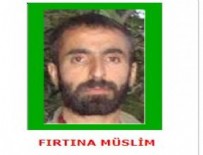 CUDI DAĞı - Yeşil kategorideki terörist öldürüldü