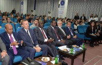 BÜYÜKELÇİLER - Büyükelçiler Öğrencilerle Buluştu