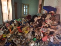 ÇÖP EV - Çöp Evden 5 Ton Atık Çıktı