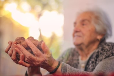 Günlük Beslenmede Ceviz Tüketimi Yaşlıların Kilosunu Etkilemiyor