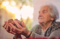 DIYABET - Günlük Beslenmede Ceviz Tüketimi Yaşlıların Kilosunu Etkilemiyor