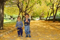AĞAÇLı - Manavgat'ta Sonbahar Bahçesi