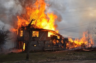 (Özel) Kastamonu'da Son Dönemde Artan Yangınlara Uzman Önerisi