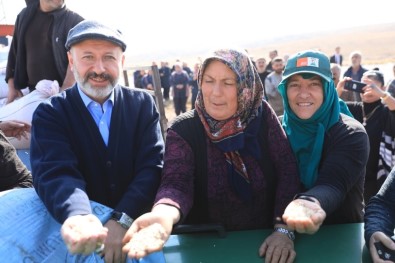 Bin Yıllık Tohumlar Kocasinan Topraklarında Filizlenecek