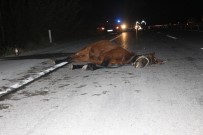 Otomobil Ata Çarptı Açıklaması 2 Yaralı