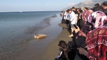 CARETTA CARETTA - Sağlığına Kavuşan Deniz Kaplumbağaları Denizle Buluştu