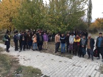 EMNİYET AMİRLİĞİ - Van'da 47 Kaçak Göçmen Yakalandı