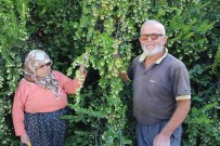 ERENTEPE - 30 Yıl Önce Köye Gelen Öğretmen Hayatlarını Değiştirdi