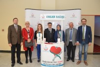 ŞEYH EDEBALI - Bilecik'te 'Hayatı Bağışla' Konulu Panel Düzenlendi