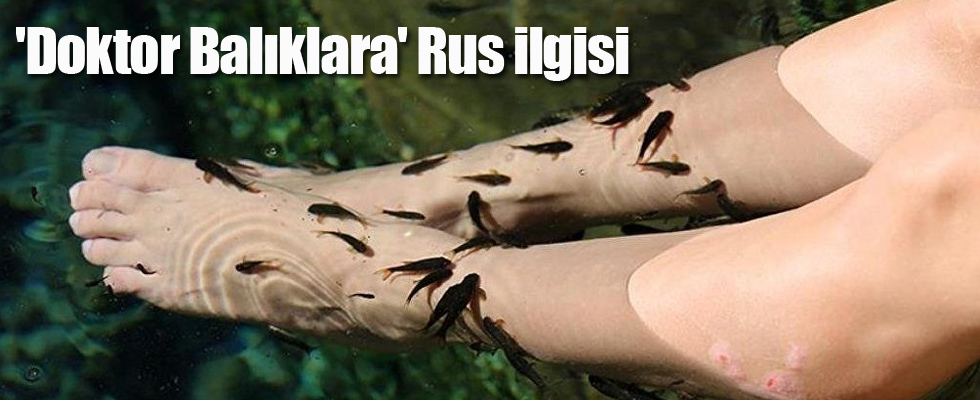 'Doktor Balıklara' Rus ilgisi