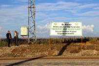 ŞEHİT AİLESİ - Kayyum Belediyenin Hazırladığı Proje İle 70 Aile 5 Ayda 3 Milyon 200 TL Gelir Elde Etti