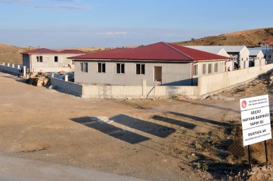 Keçiören'e Modern Hayvan Barınağı