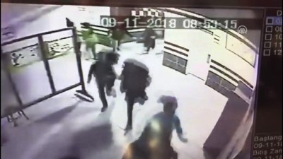 Kocaeli'de, Okula Giren Pitbull Polis Tarafından Vuruldu