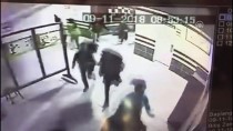 PİTBULL - Kocaeli'de, Okula Giren Pitbull Polis Tarafından Vuruldu