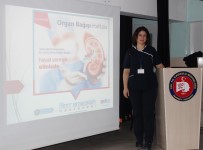 AMERIKAN HASTANESI - Öğrencilere Organ Bağışı Anlatıldı