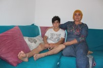 TAZMİNAT DAVASI - (Özel) Pitbull Dehşetinin İzleri Silinmedi