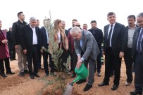 ŞEHITKAMIL BELEDIYESI - Şehitkamil'de 13 Bin Fidan Toprakla Buluştu