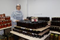 ZEYTİN YAĞI - Destek Almadan 500 Bin Lira Harcadı, Organik Ürün Üretim Merkezi Açtı