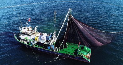 Doğu Karadenizli Balıkçılar Hamsiyi Batı Karadeniz'de Arıyor