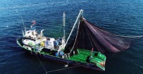 Doğu Karadenizli Balıkçılar Hamsiyi Batı Karadeniz'de Arıyor Haberi