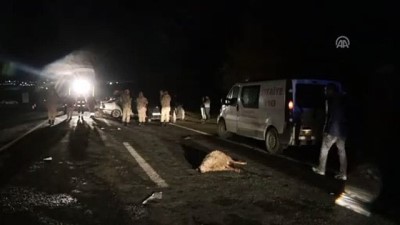 Iğdır'da İki Otomobil Çarpıştı Açıklaması 7 Yaralı