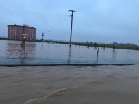 SU TAŞKINI - Nusaybin'de Yağış Sonrası Dağdan Gelen Sular Sele Sebep Oldu