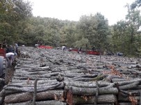 GÜNEŞ ENERJİSİ - Orman Köylüsüne 10 Ayda 2 Milyar 140 Milyon TL Destek