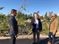 BELEK - Başkan Çalık, Fırtınadan Zarar Gören Bölgeyi İnceledi