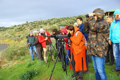 Aydın'da Kış Turizmi Değil Kuş Turizmi Başladı