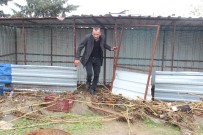 ŞİDDETLİ YAĞIŞ - Hatay'da Sele Kapılan Hayvanlar Telef Oldu