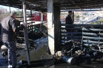 Meraklı Gözlerle Çatı Yangınını İzlediler