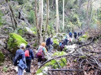 KANYON - Terörden Temizlenen Amanoslara Doğa Yürüyüşü