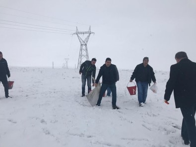 Kars'ta Yaban Hayvanlar İçin Doğaya Yem Bırakıldı