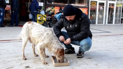 Sokak Hayvanlarının Gönüllü Bakıcısı