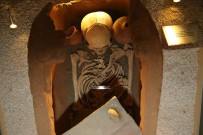 Tokat'ta 2000 yıllık iskelete yoğun ilgi Haberi